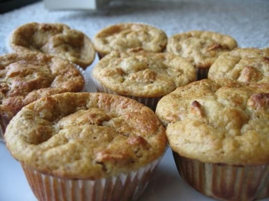 appelmoes rozijnenzemelen muffins