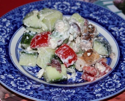 salade met kip en souvlaki