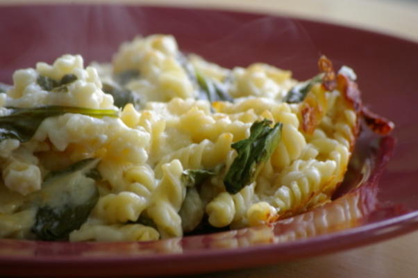 lichte macaroni en kaas met spinazie