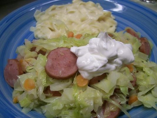 makkelijke kool en kielbasa