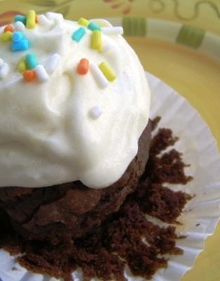 laag vetgehalte, lage cholesterol chocoladetaart / cupcakes