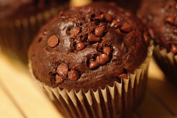 devil's food chocolate chip muffins
