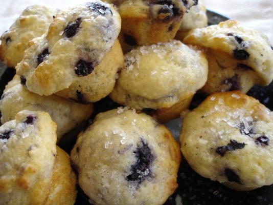 blueberry cheesecake muffins