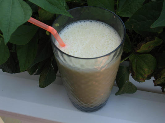 bananenmelk (rauw, zuivelvrij)