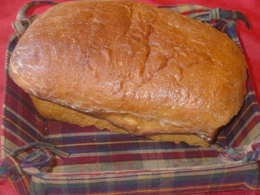bruin brood