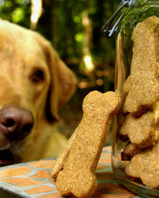 speciale gelegenheid hondenbotten / koekjes