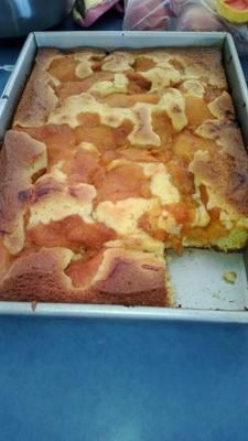 yoghurt cake