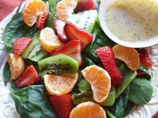 spinazie, aardbei, mandarijnsalade met maanzaaddressing