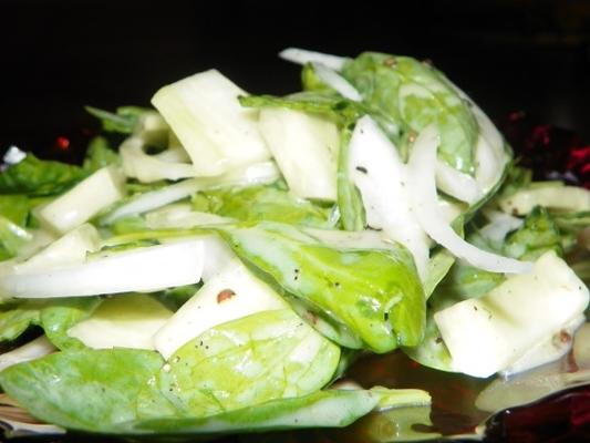 spinazie komkommer salade met yoghurt dressing