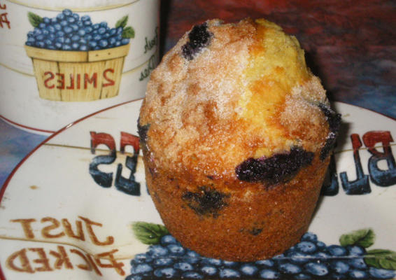 bosbessen en oranje muffins