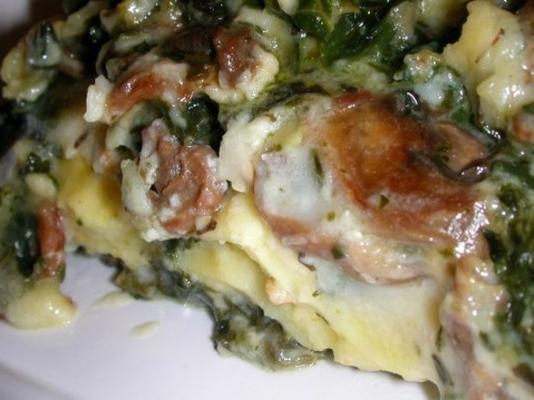 romige spinazie-champignon-lasagne