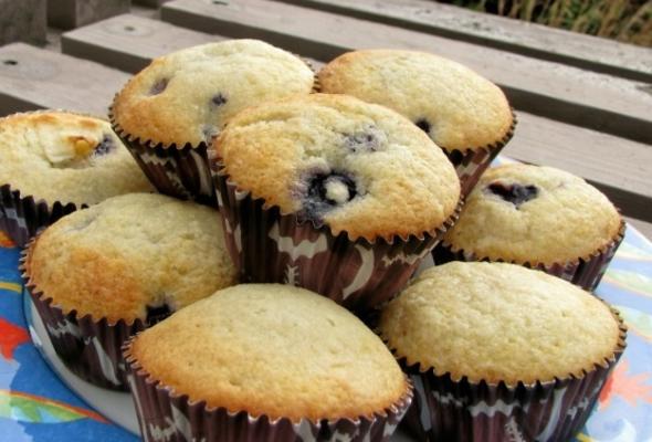 bosbessenmuffins uit het liefdeloze café