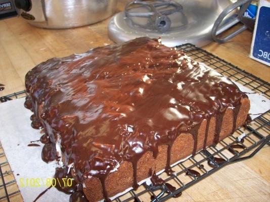 chocolade kokosnoot terpen cake