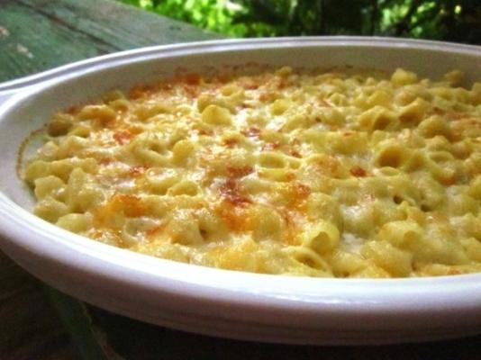 macaroni en kaas, rijk en romig