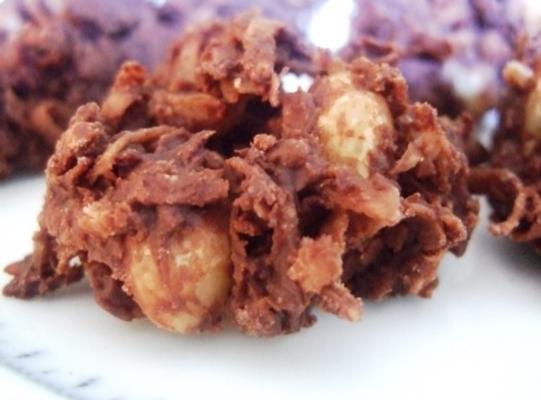 chocolade coconut macadamia druppels
