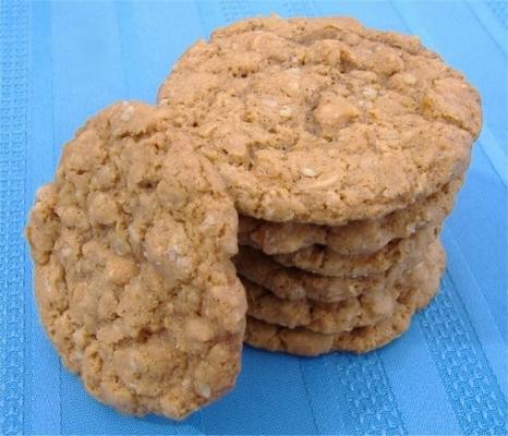 havermout caramel (of butterscotch) pudding cookies