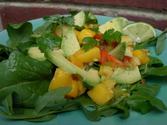 salade van mango, avocado en rucola