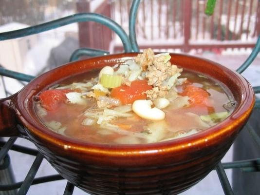 hamburger minestrone soep (zuidstrand dieet)