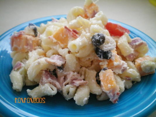 spek club macaroni salade