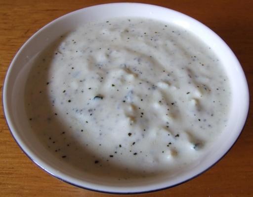 tzatziki (yoghurt, komkommer, knoflook en muntdip)