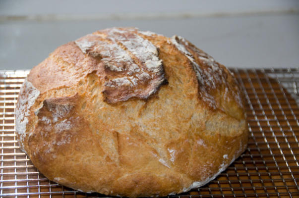 ambachtelijk boule brood