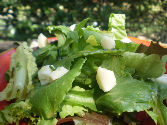 klassieke Franse groene salade