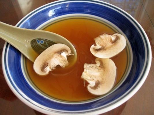 tsr versie van benihana japanse uiensoep van todd wilbur
