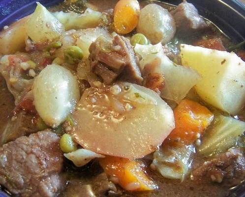 lekkere slowcooker rundvleesstoofpot