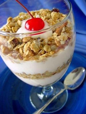 een ontbijt yoghurt parfait (granola)