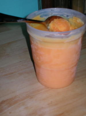 gemakkelijk kool-hulp bevroren sorbet (kid pleaser)
