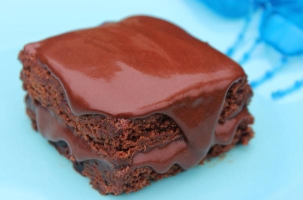 boreale bossen cranberry brownies