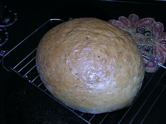 bak snel wit brood (broodmachine)