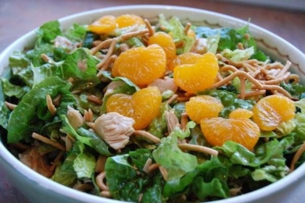 heerlijke Aziatische kippensalade met chow mein noedels