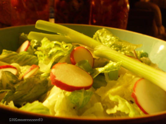 salade met radijs en groene uien