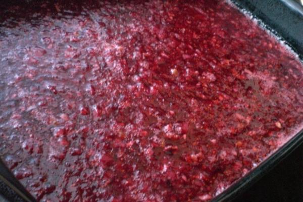 cranberry salade in frambozen jello met roomkaas topping