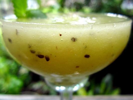 kiwifruit en midori-slushy