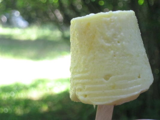mango cocos-ijslolly