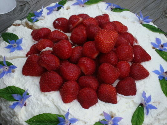 fudgy chocolate layer cake