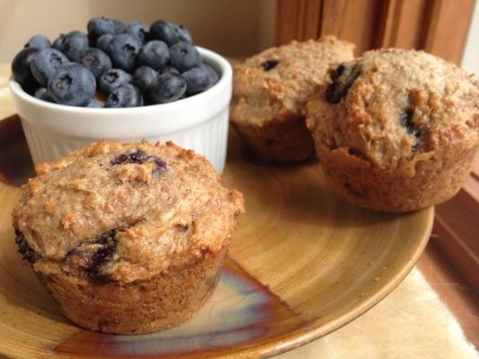 yoghurt zemelen muffins