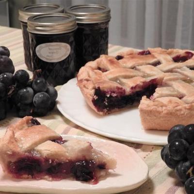 concord grape pie i