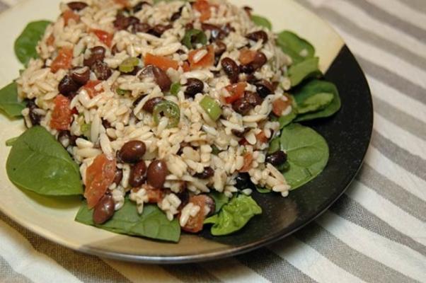 zwarte bonen-orzo salade