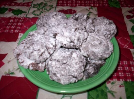 snelle chocoladecrinkles