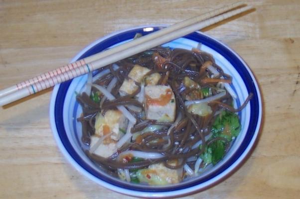 soba noodle salade met groenten en tofu