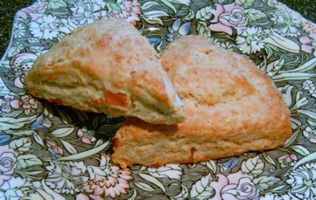 zaarbucks beroemde abrikozen amandel scones