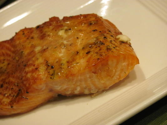 bourbon steelhead forel