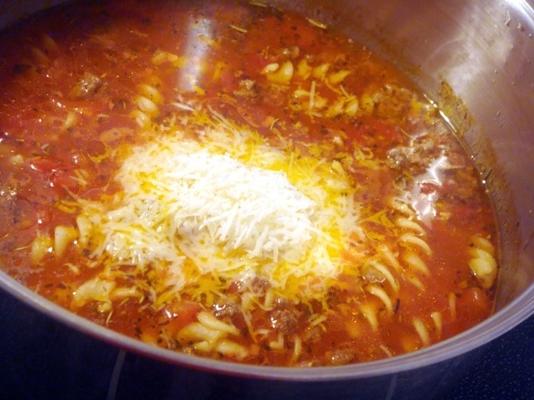 snelle, snelle, snelle lasagne soep