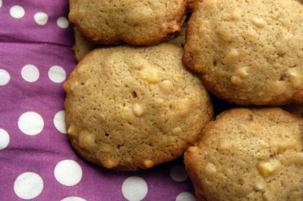 Nederlandse amandelkoekjes (amandel koekjes)