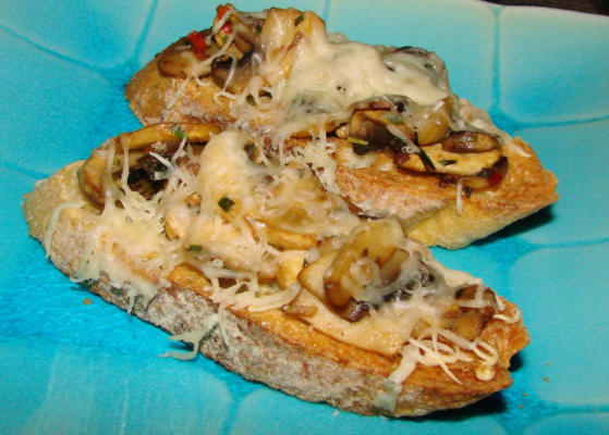 2bleu's mushroom en Swiss op crostini toast voorgerechten