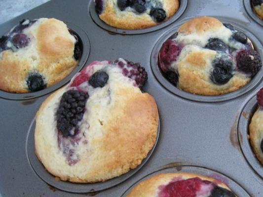 jumbo blueberry muffins (of cranberry)