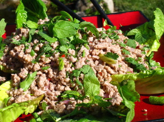 larb chicken